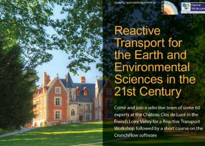 Reactive Transport for the Earth and Environmental Sciences in the 21st Century