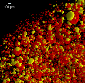 Magmatic outgassing: an essential driving force in the formation of nickel and PGM-rich deposits