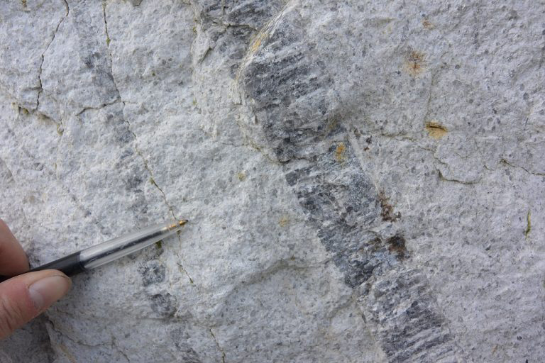 Veins in the rare-metal granite of Argemela (Thesis J. Michaud).